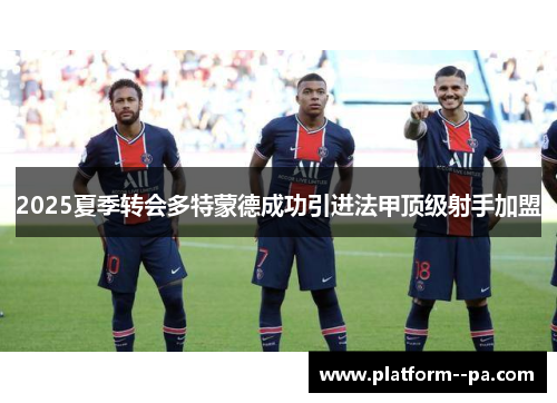2025夏季转会多特蒙德成功引进法甲顶级射手加盟 2025夏季转会多特蒙德成功引进法甲顶级射手加盟