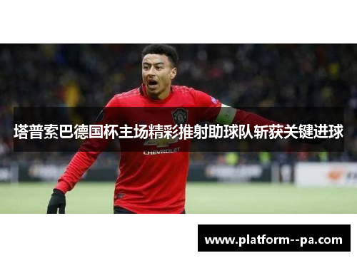 塔普索巴德国杯主场精彩推射助球队斩获关键进球