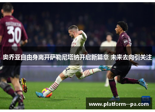 奥乔亚自由身离开萨勒尼塔纳开启新篇章 未来去向引关注 奥乔亚自由身离开萨勒尼塔纳开启新篇章 未来去向引关注